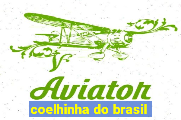 coelhinha do brasil